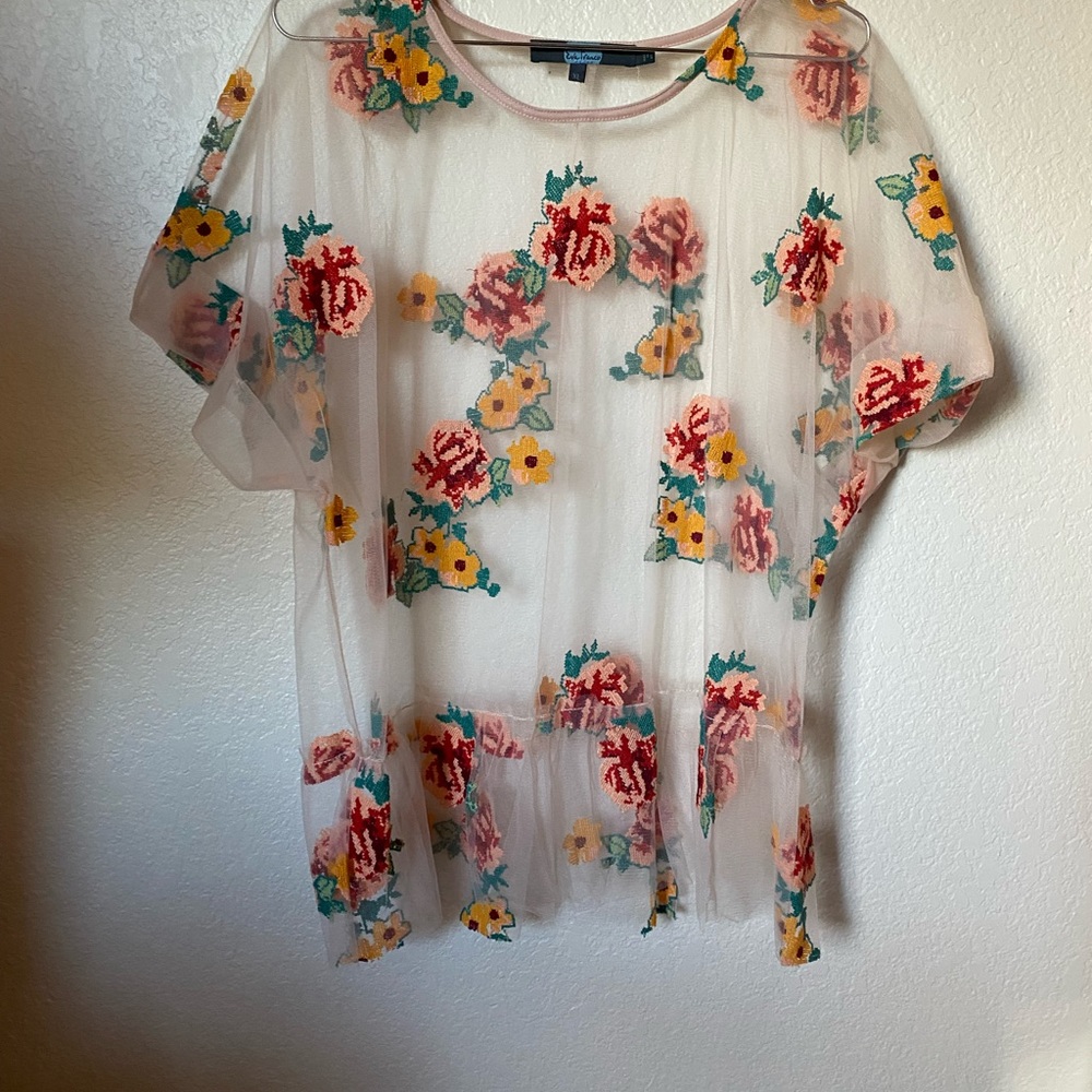 Anthropologie Eva Franco Sheer Embroidered Floral Peplum Top XL